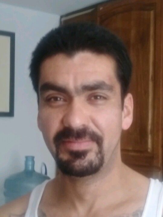 mario flores