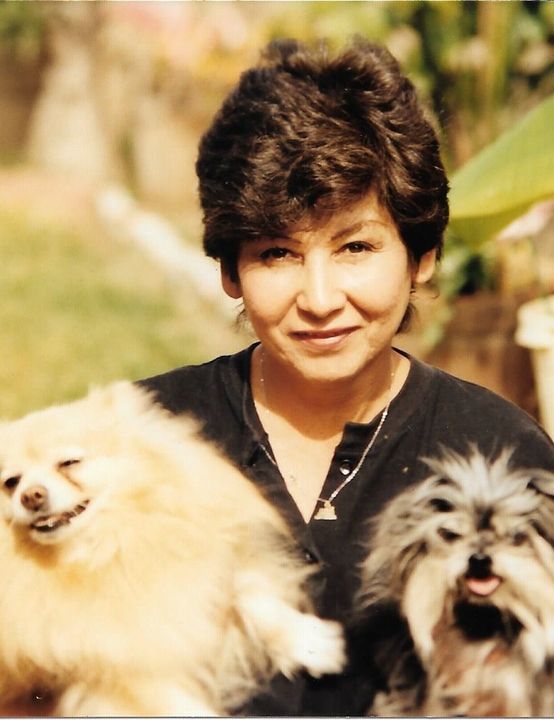 irene noguchi