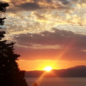 john bajorek Gallery